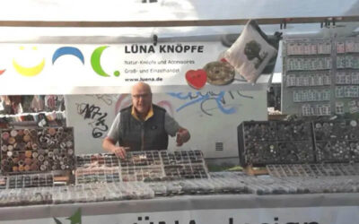 Lüna Knöpfe